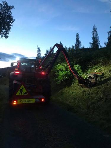 Klipping ved elvepromenaden