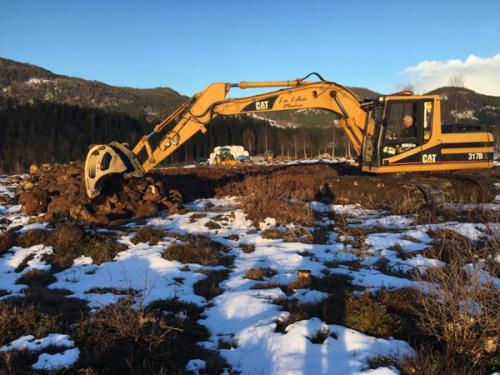 Ola Dyrker nytt land